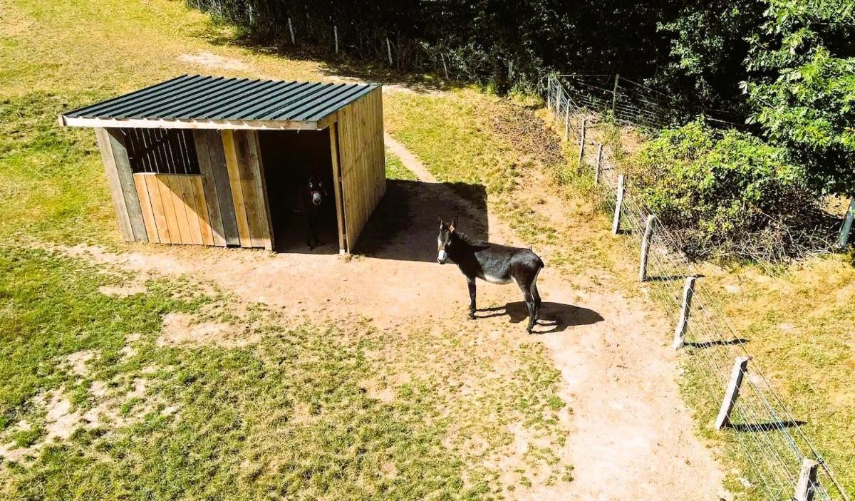 Villa La Roulotte des Clartés Antully Esterno foto